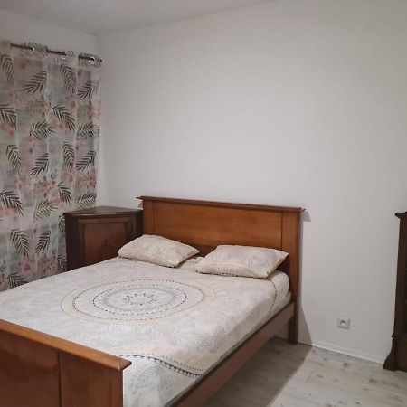 Chez Bernadette Apartment Vandoeuvre-les-Nancy Luaran gambar